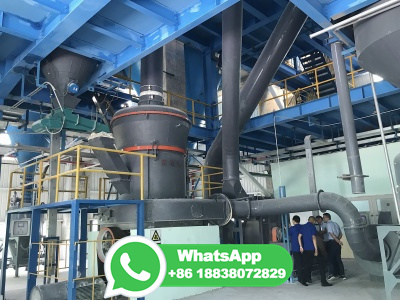 Project Report on MINI FLOUR MILL (ATTA, MAIDA, SUJI) (20 .