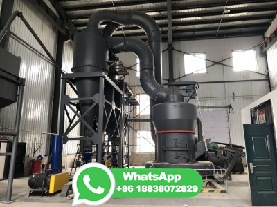Project Report on MINI FLOUR MILL (ATTA, MAIDA, SUJI)